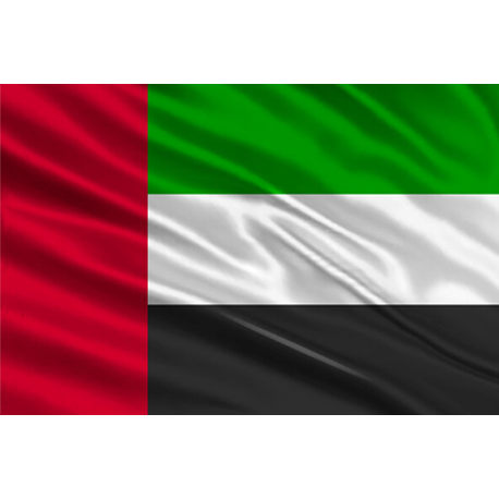 MT5 Grey Label Solutions in UAE